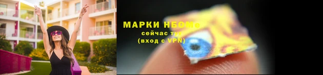 амф Бородино