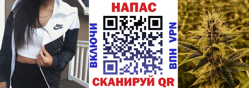 Бошки марихуана SATIVA & INDICA дарнет шоп Буинск